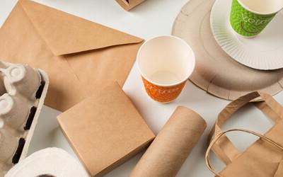 造纸行业可持续发展吗?  